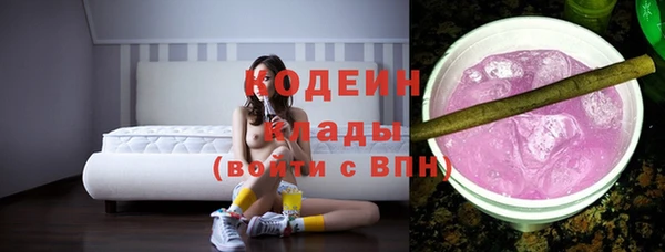 спиды Богданович