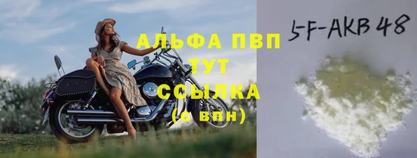 спиды Богданович