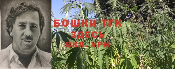 ALPHA-PVP Богородицк