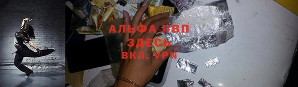 спиды Богданович