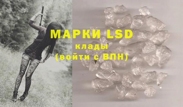 спиды Богданович